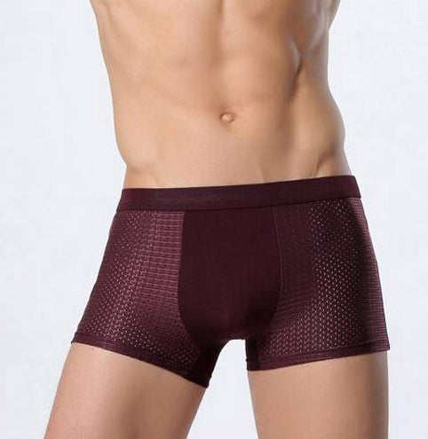 Ice silk men's underwear mesh boxer | LUXETHREAD